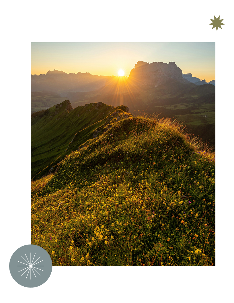 25-COR-0662 Website6